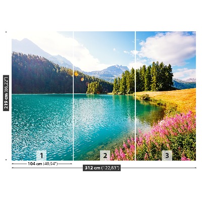 Stenska fototapeta Swiss alps