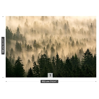Stenska fototapeta Meglenih gozdov