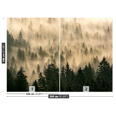 Stenska fototapeta Meglenih gozdov