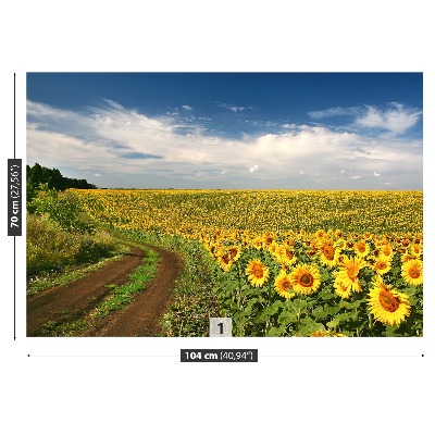 Stenska fototapeta Polje sončnic