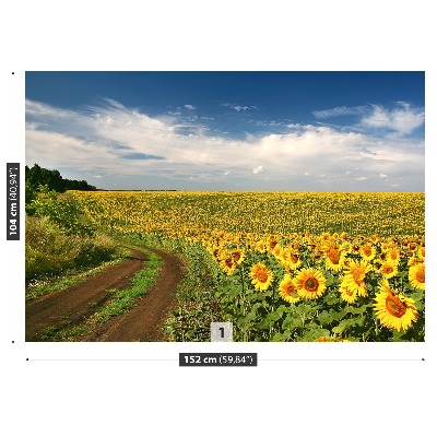 Stenska fototapeta Polje sončnic