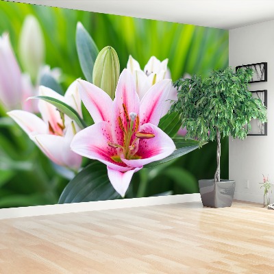 Stenska fototapeta Lily green