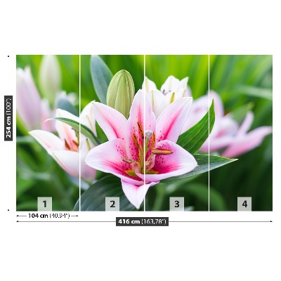 Stenska fototapeta Lily green