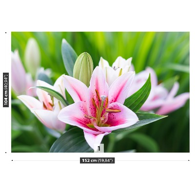 Stenska fototapeta Lily green