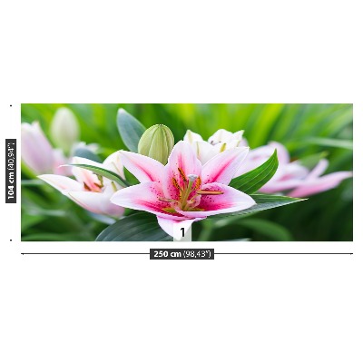 Stenska fototapeta Lily green