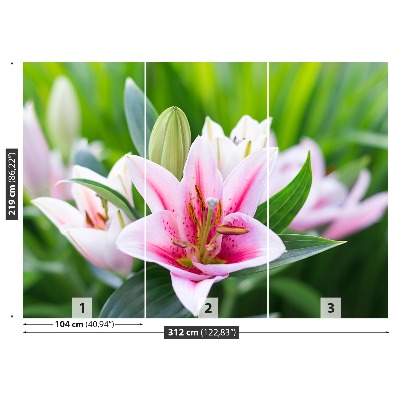 Stenska fototapeta Lily green