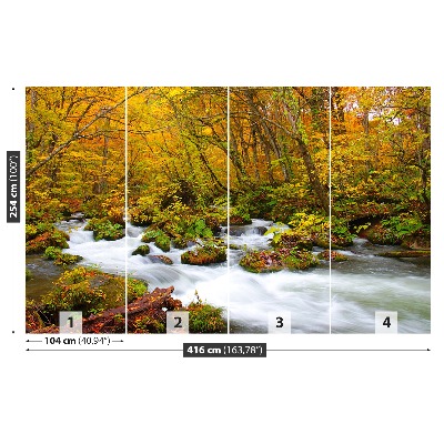 Stenska fototapeta Reka na japonskem