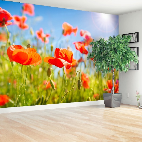 Stenska fototapeta Red poppies