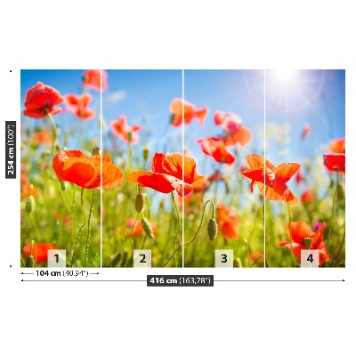 Stenska fototapeta Red poppies