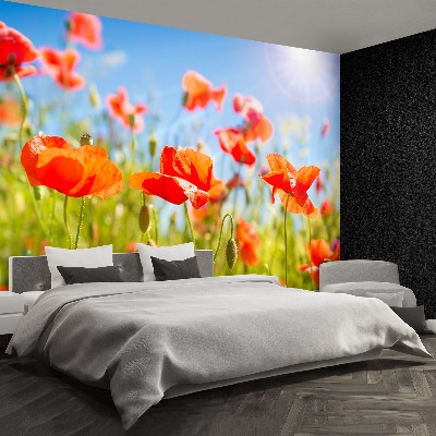 Stenska fototapeta Red poppies