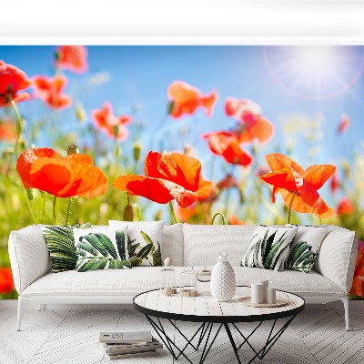 Stenska fototapeta Red poppies