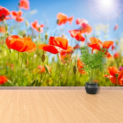 Stenska fototapeta Red poppies