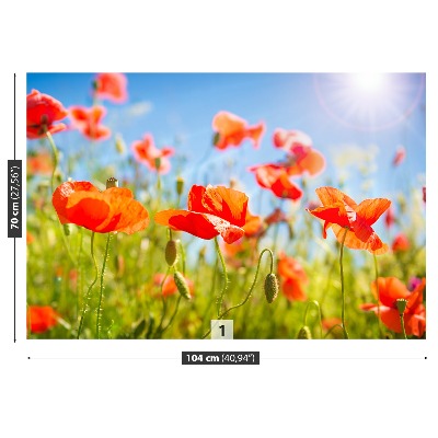 Stenska fototapeta Red poppies