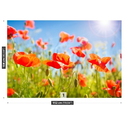 Stenska fototapeta Red poppies