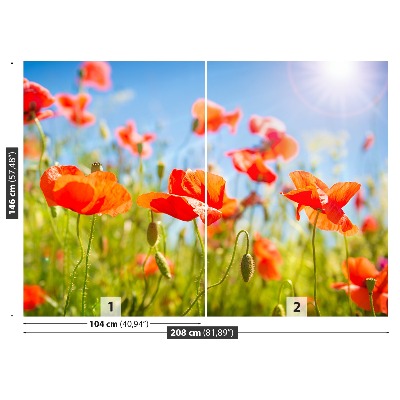 Stenska fototapeta Red poppies