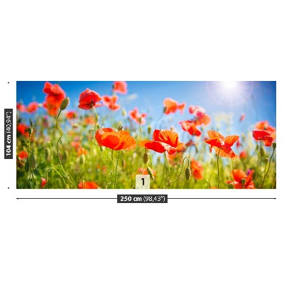 Stenska fototapeta Red poppies