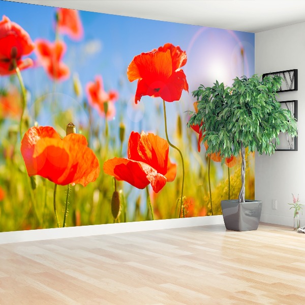 Stenska fototapeta Red poppies