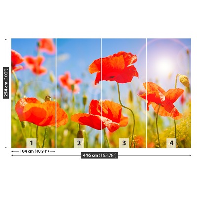 Stenska fototapeta Red poppies