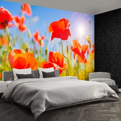 Stenska fototapeta Red poppies