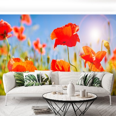 Stenska fototapeta Red poppies