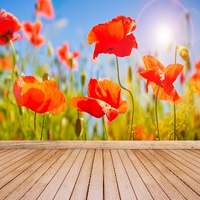 Stenska fototapeta Red poppies