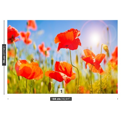 Stenska fototapeta Red poppies