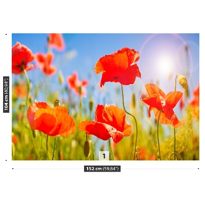 Stenska fototapeta Red poppies