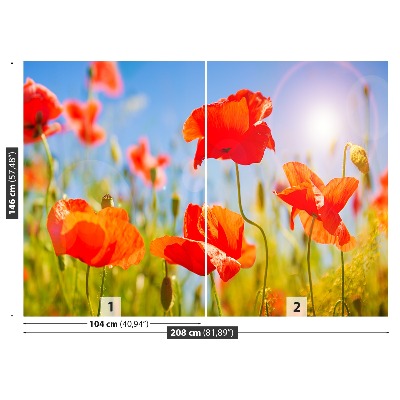 Stenska fototapeta Red poppies