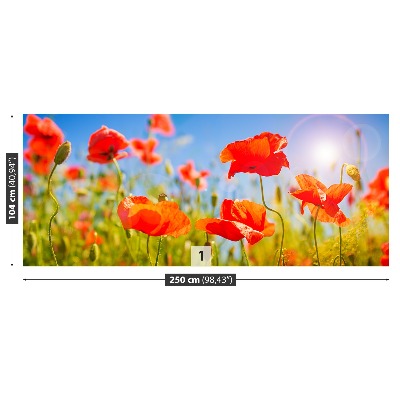 Stenska fototapeta Red poppies