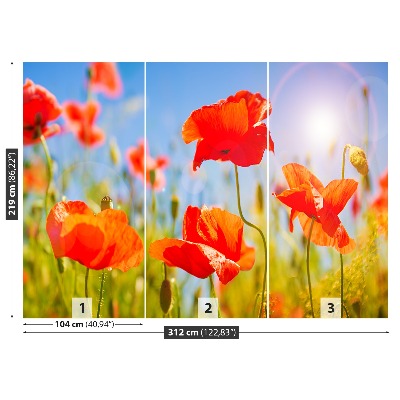 Stenska fototapeta Red poppies