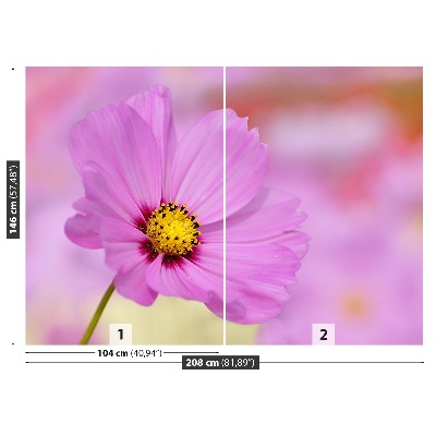 Stenska fototapeta Pink cosmos