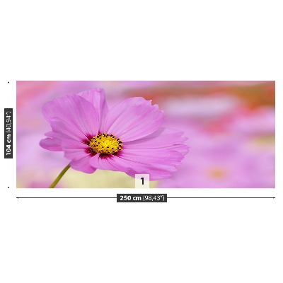 Stenska fototapeta Pink cosmos