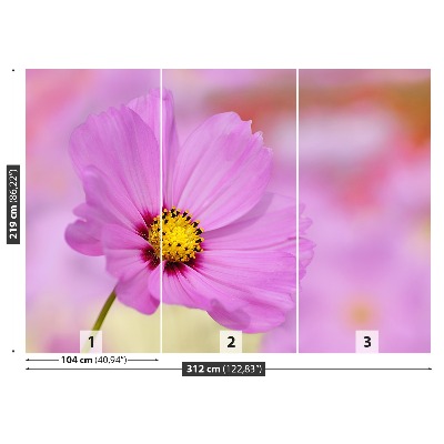 Stenska fototapeta Pink cosmos