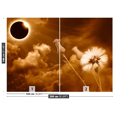 Stenska fototapeta Dandelion sonce