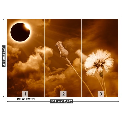 Stenska fototapeta Dandelion sonce