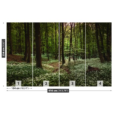 Stenska fototapeta Pomlad forest