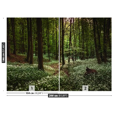 Stenska fototapeta Pomlad forest