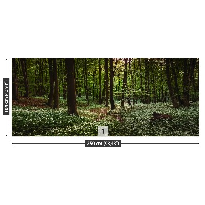 Stenska fototapeta Pomlad forest