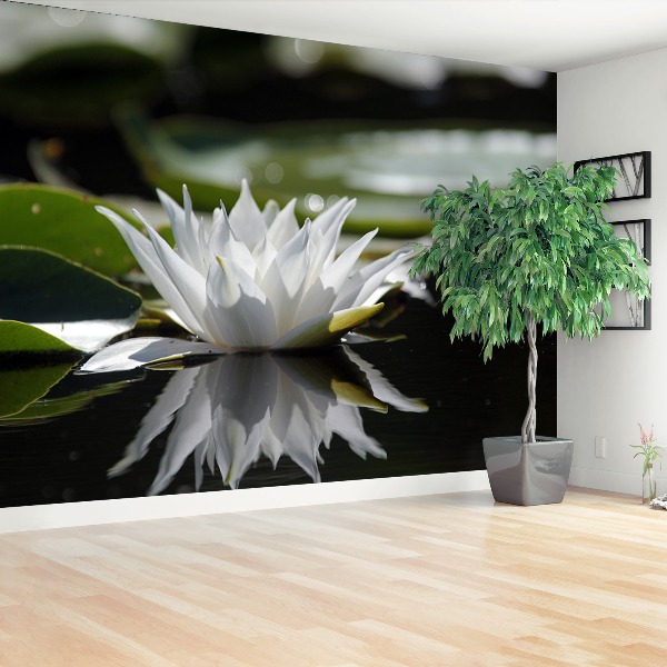 Stenska fototapeta Beli lotus