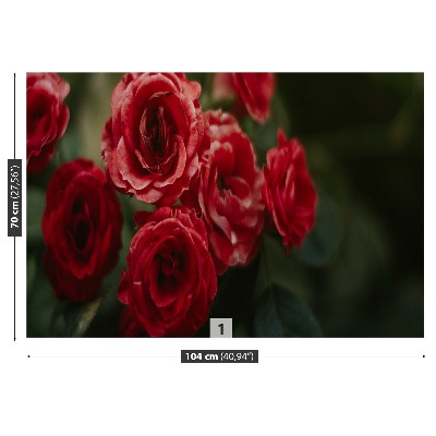 Stenska fototapeta Vintage vrtnice
