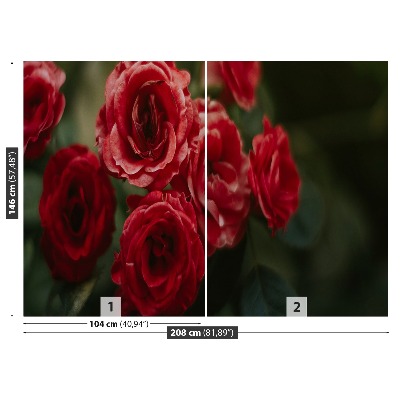 Stenska fototapeta Vintage vrtnice