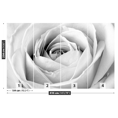 Stenska fototapeta White rose