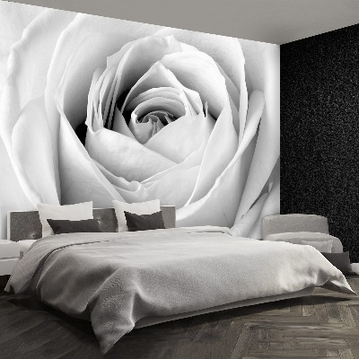 Stenska fototapeta White rose