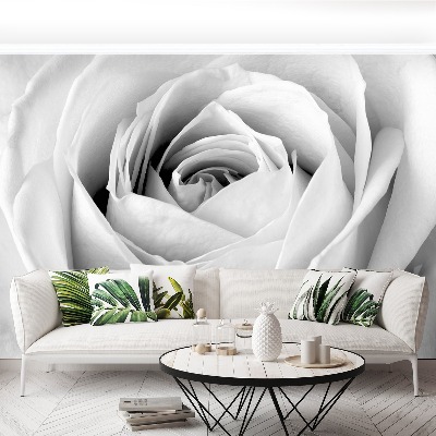 Stenska fototapeta White rose