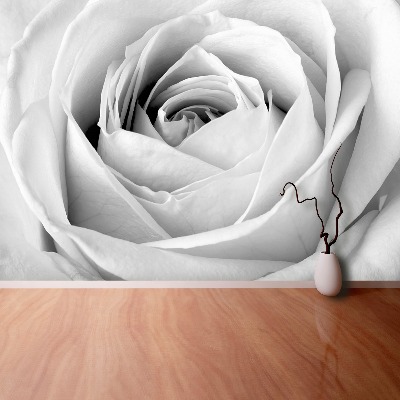 Stenska fototapeta White rose
