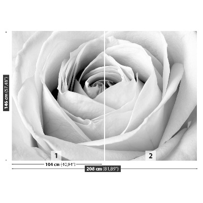 Stenska fototapeta White rose