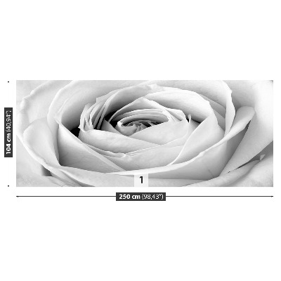 Stenska fototapeta White rose