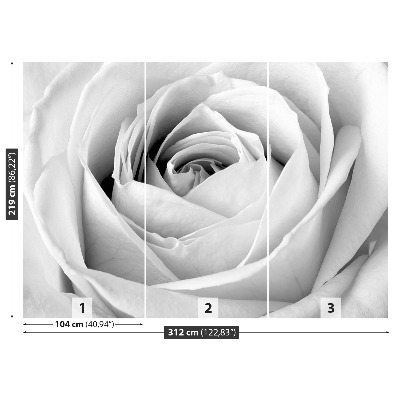 Stenska fototapeta White rose