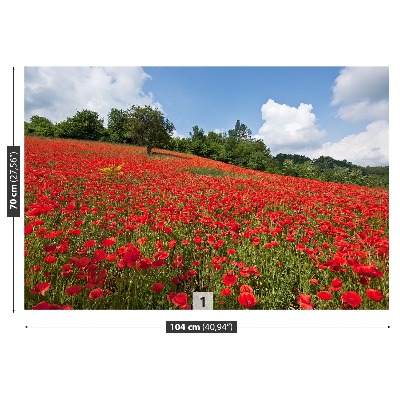 Stenska fototapeta Polje maka