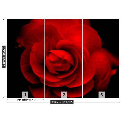 Stenska fototapeta Rdeča vrtnica